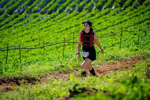 BIB: 
                            <button type="button" onclick="openModal(19162437)" class="btn btn-primary btn-sm float-right btn-popup" data-toggle="modal" data-target=".modal-high-quality">
                        <i class="fas fa-shopping-cart"></i> Add to Cart
                    </button>
                                            <button type="button" onclick="isThisMe(19162437, true)" class="btn btn-success btn-sm float-right btn-popup btn-isme hidden" data-toggle="tooltip" data-placement="bottom" title="นี่คือรูปของคุณใช่ไหม คลิกที่นี่เพื่อเอาเข้าอัลบั้ม">
                        <i class="fas fa-plus"></i> Add to album
                    </button>
                    <button type="button" onclick="isThisMe(19162437, false)" class="btn btn-warning btn-sm float-right btn-popup btn-isnotme hidden">
                        <i class="fas fa-ban"></i> Remove from album
                    </button>